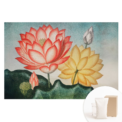Papier peint intissé Fleurs de lotus style romantique