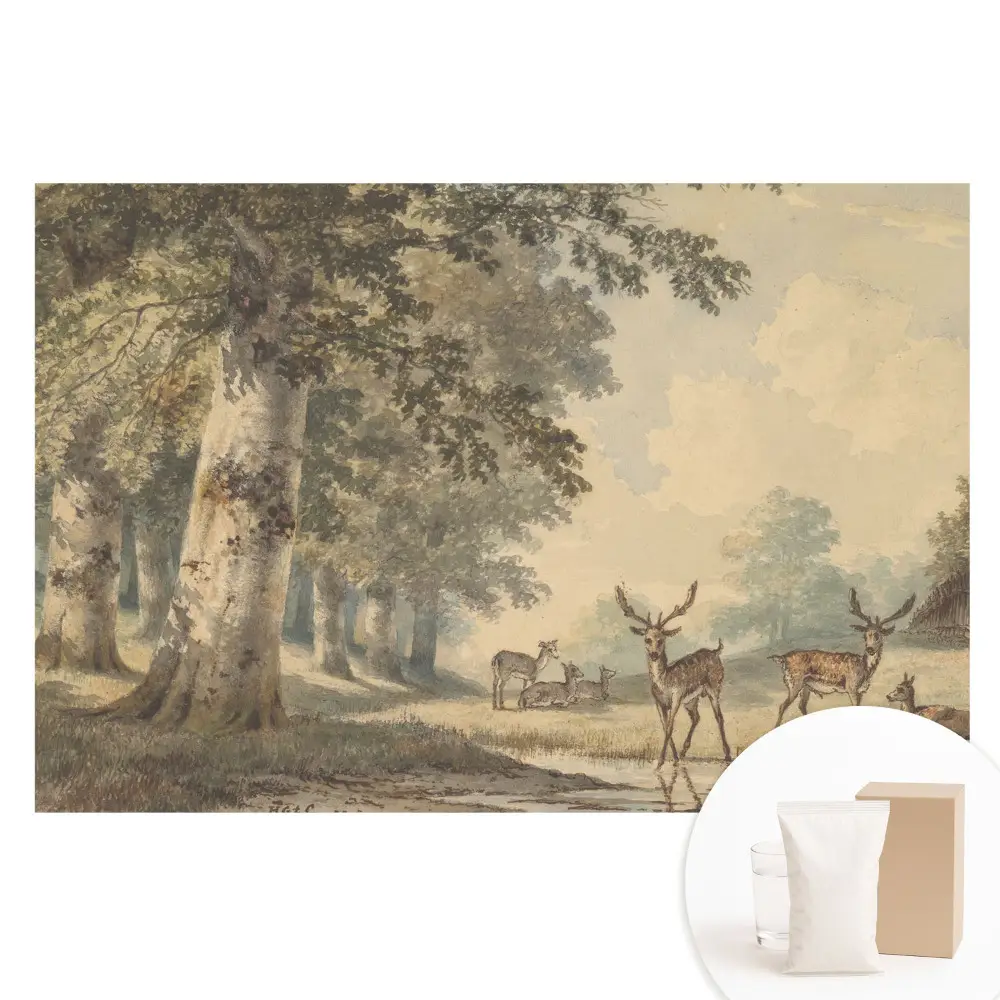 Papier peint photo intissé Cerfs des bois près du ruisseau