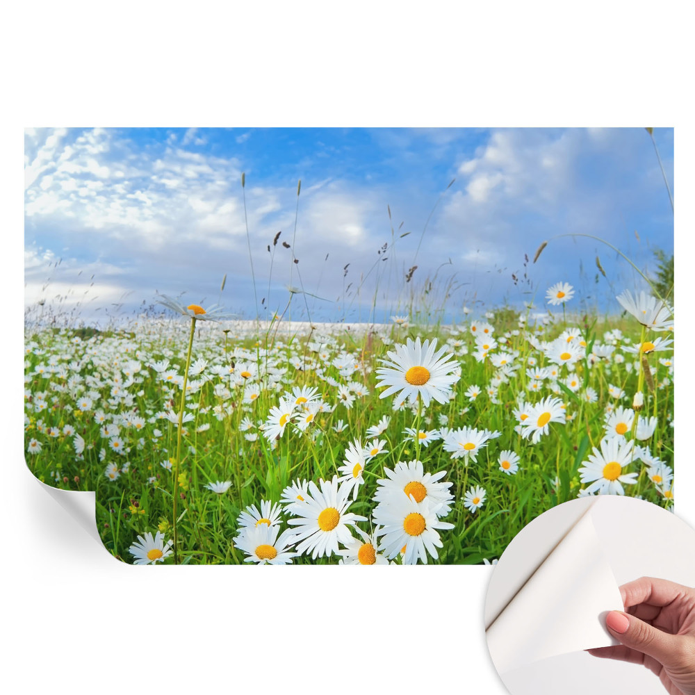 Papier peint photo autocollant pour chambre motif prairie d'été
