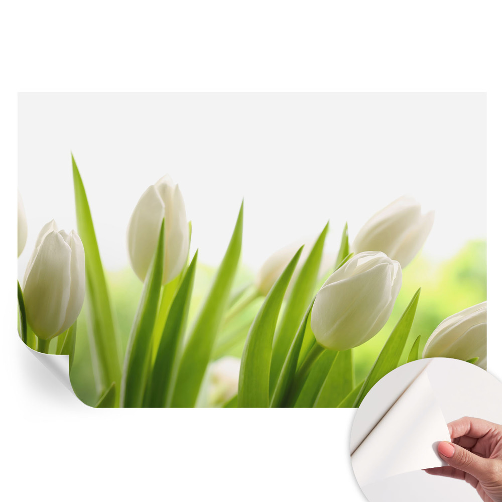 Papier peint photo autocollant Tulipes blanches