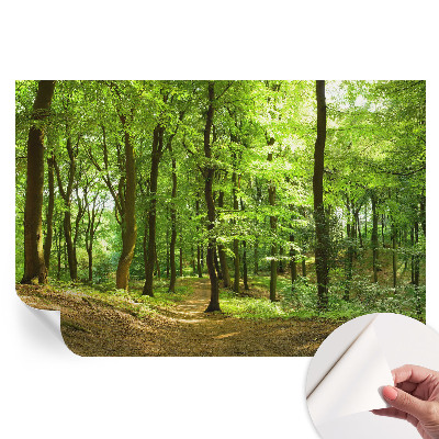 Papier peint photo autocollant Chemin naturel pour la chambre