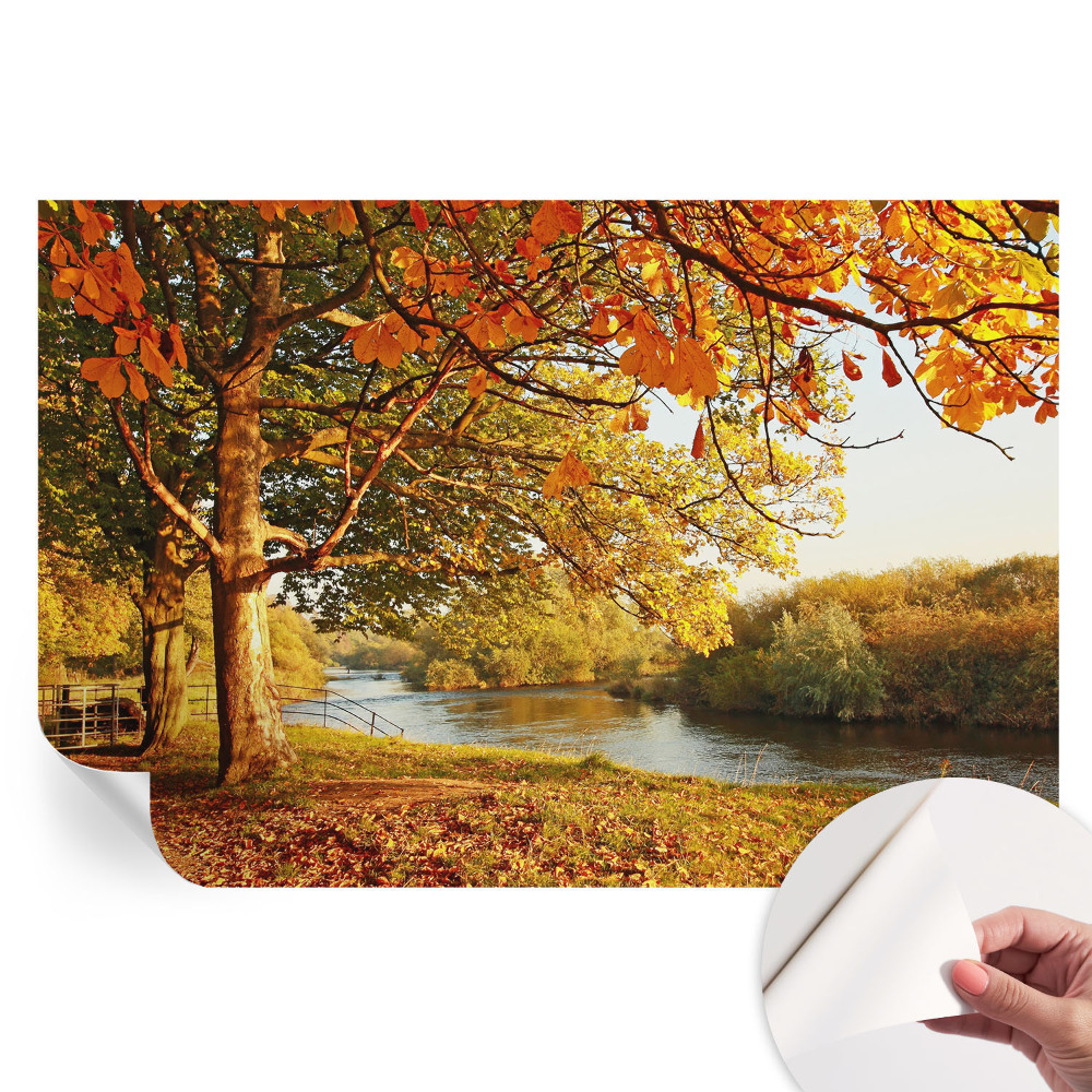 Papier peint photo moderne pour le salon L'automne sur la côte