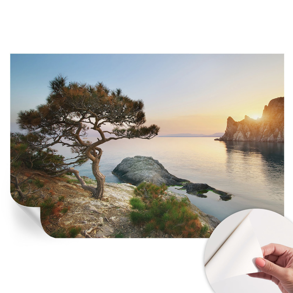 Papier peint photo autocollant Nature paisible