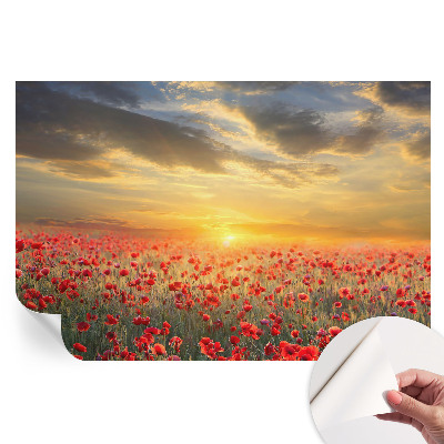 Papier peint photo autocollant pour la chambre Champ de pavots