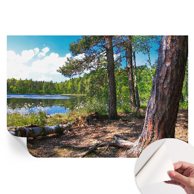 Papier peint autocollant paysage forestier pour le salon