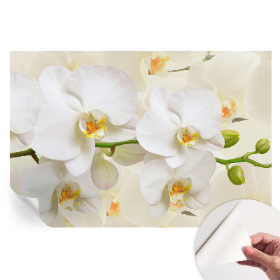 Papier peint photographique autocollant richesse florale