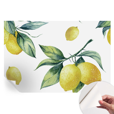 Papier peint photo autocollant pour la chambre Motif citron