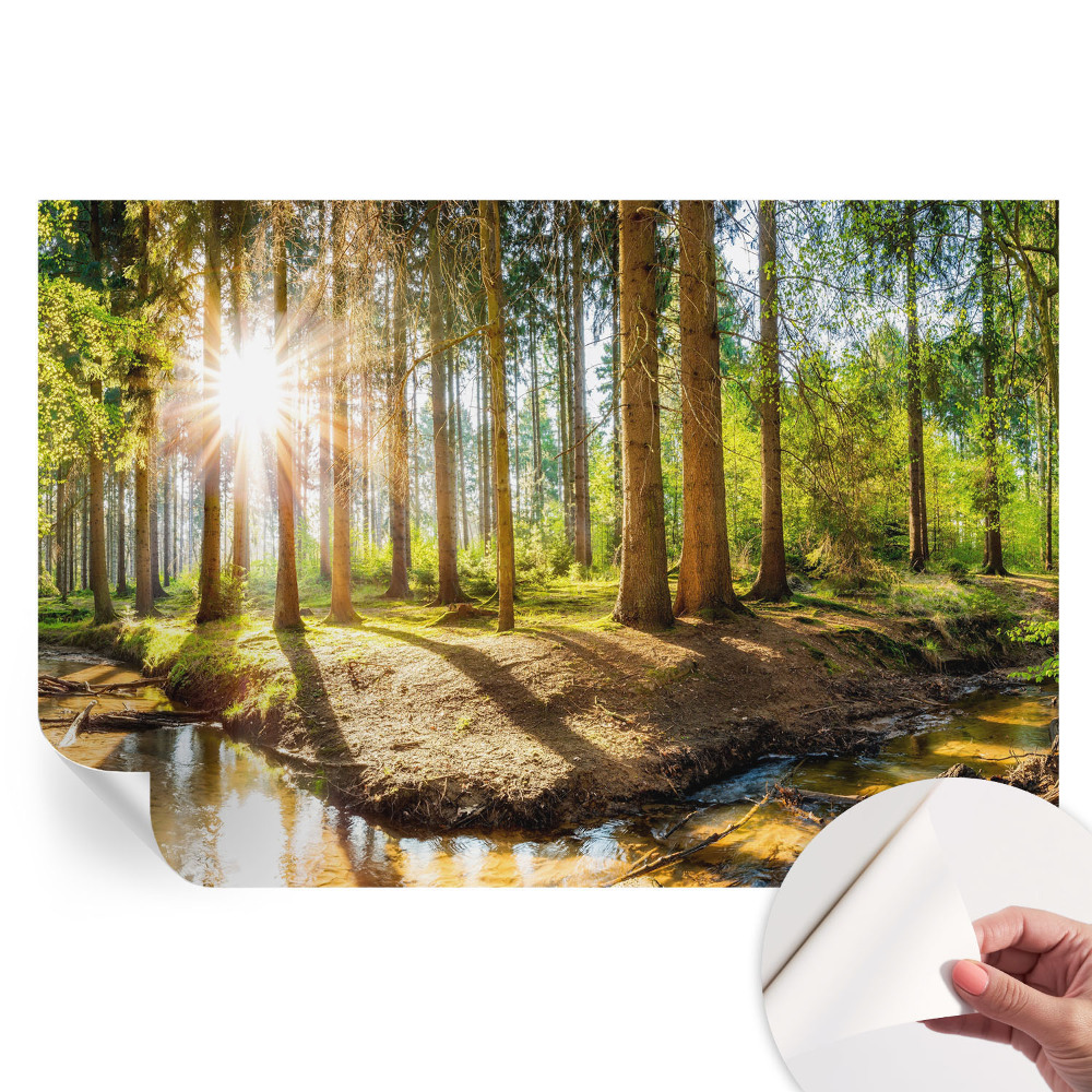 Papier peint photo autocollant pour chambre motif idylle forestière
