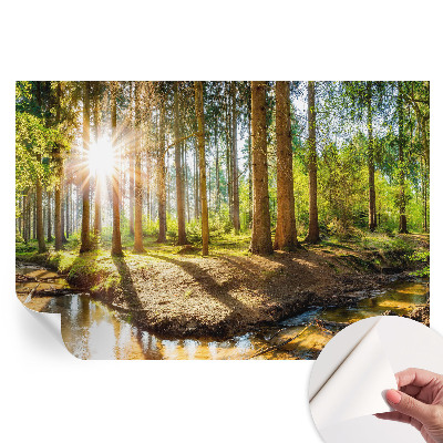Papier peint photo autocollant pour la chambre idylle forestière