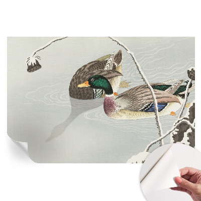 Papier peint photo moderne pour le salon Canards calmes