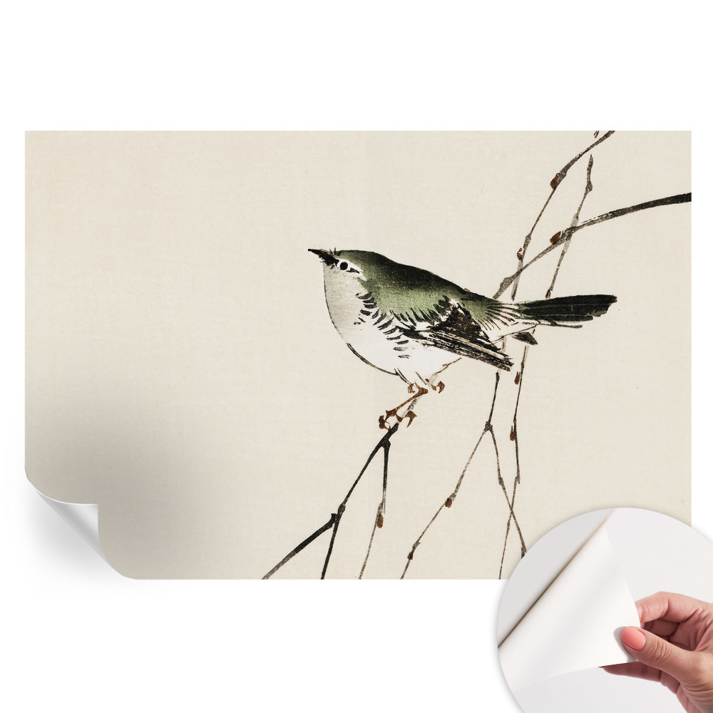 Papier peint photo moderne Oiseau harmonieux pour salon