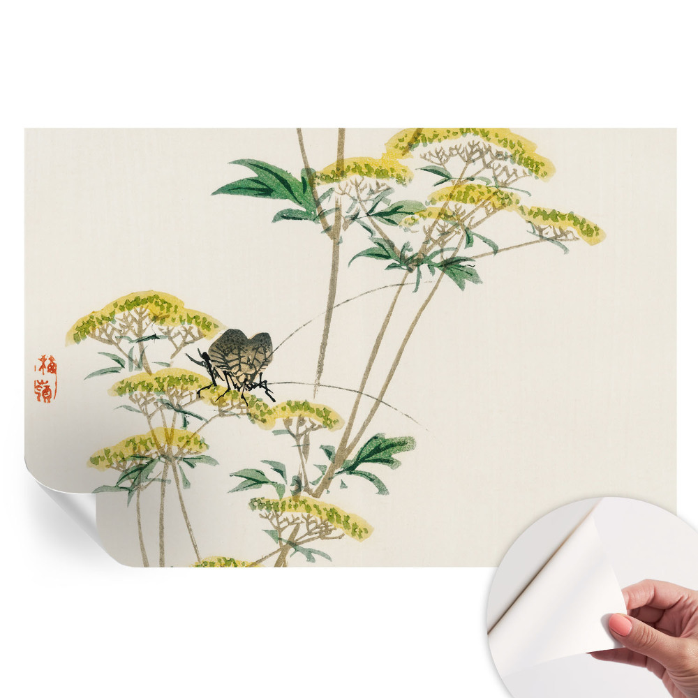 Papier peint autocollant pour le salon Fleurs nature