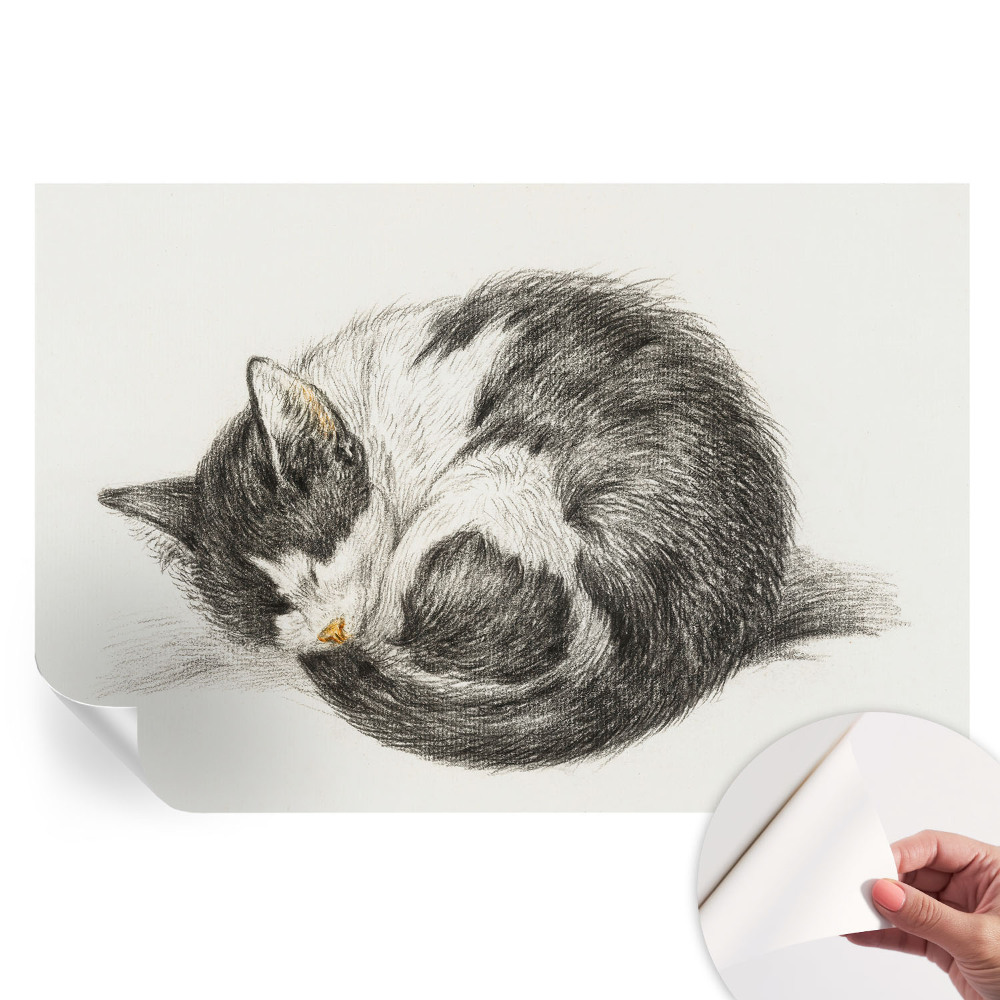 Papier peint photo autocollant pour chambre avec motif adorable chaton
