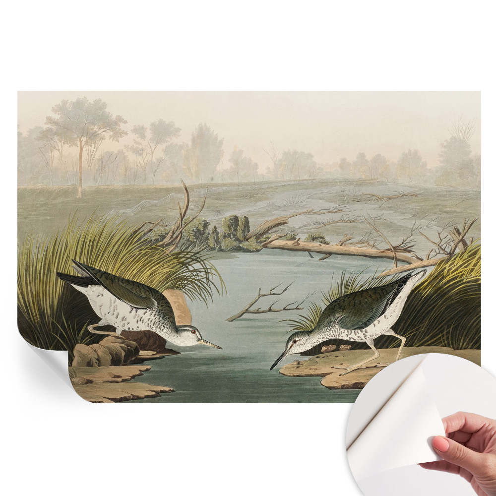 Papier peint autocollant pour le salon Un paysage paisible