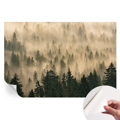 Papier peint photo moderne pour le salon brouillard forestier