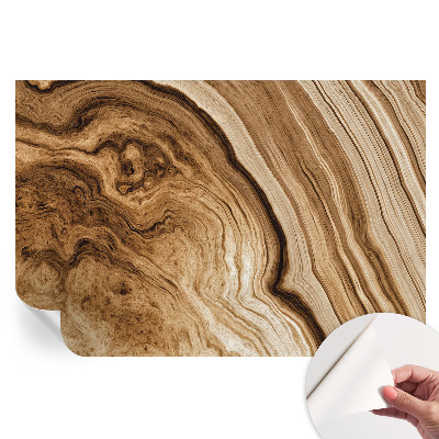 Papier peint photo moderne pour le salon Grain de bois