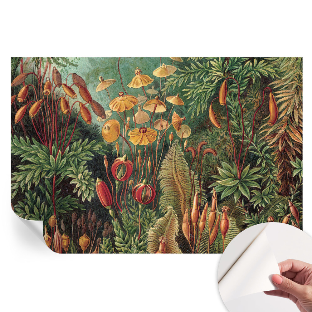 Fresque murale autocollante jardin exotique