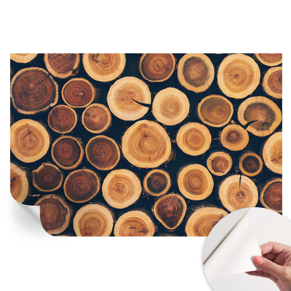 Papier peint photo autocollant motif cercles en bois pour chambre