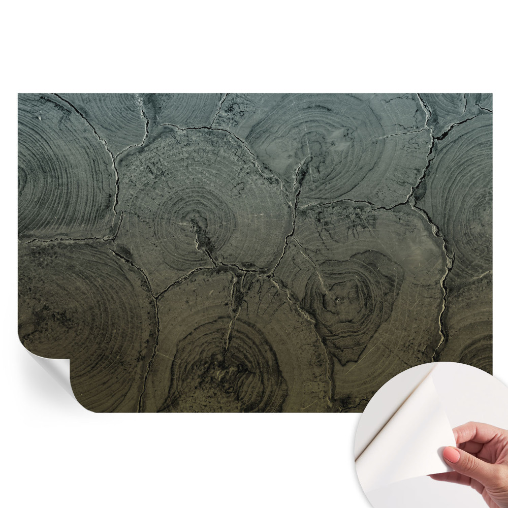 Papier peint autocollant pour le salon anneaux en bois
