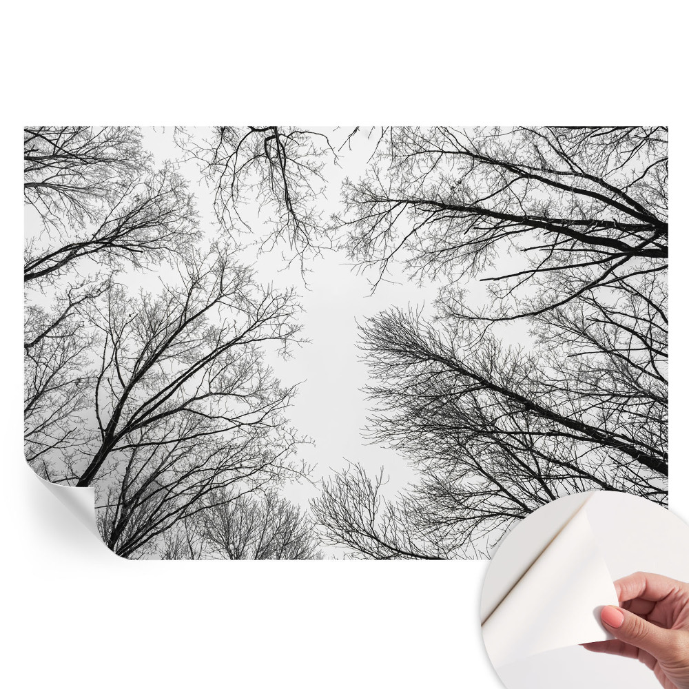 Papier peint autocollant pour le salon branches nues