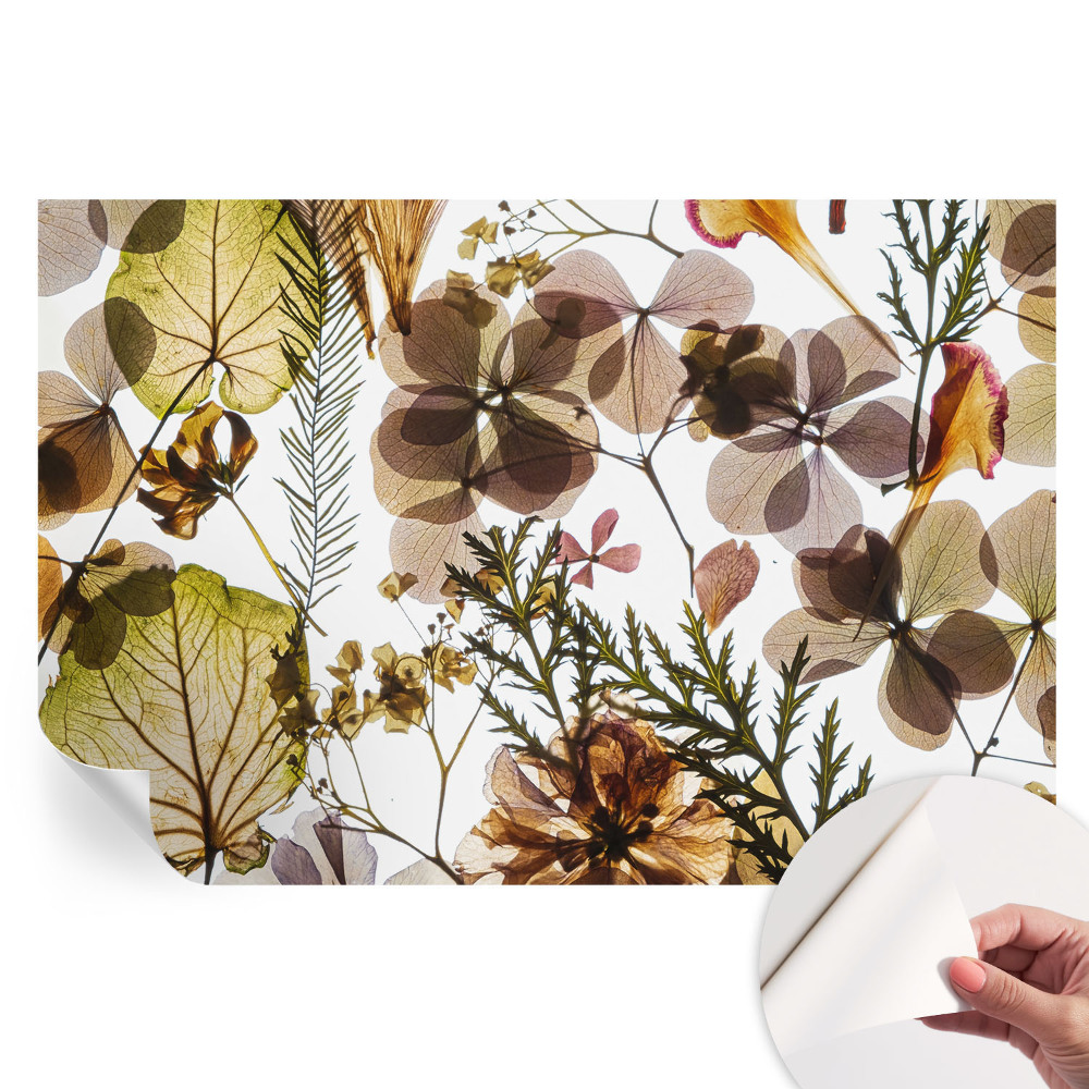 Papier peint photo autocollant pour la chambre Composition naturelle