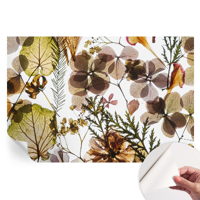 Papier peint photo autocollant pour chambre Composition naturelle