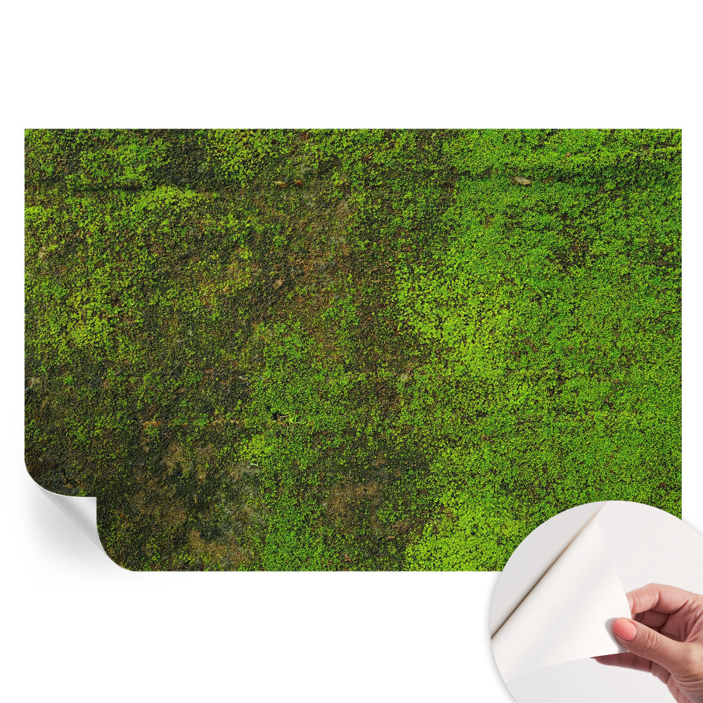Papier peint photo autocollant pour chambre motif tapis vert