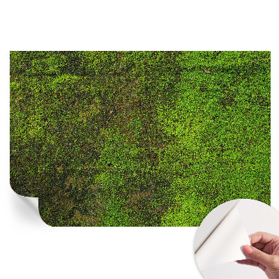 Papier peint photo autocollant pour la chambre Tapis vert