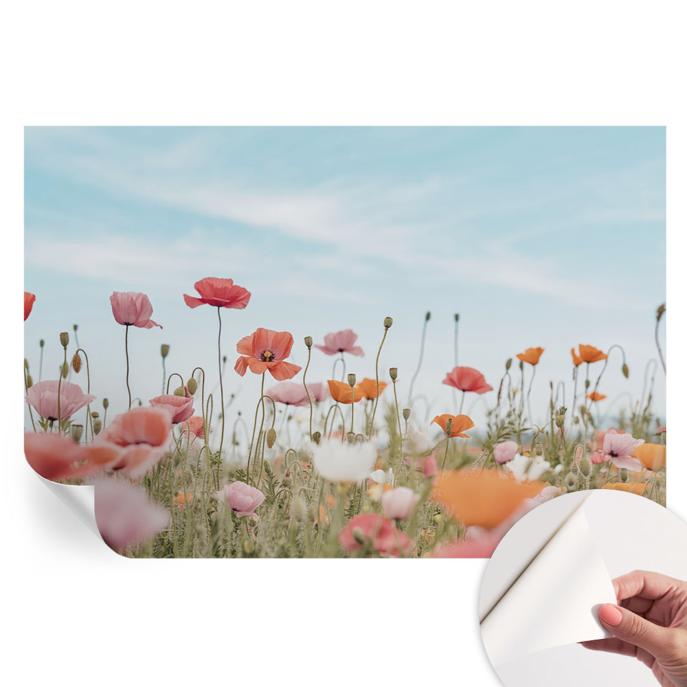 Papier peint photo moderne pour le salon fleurs de coquelicot