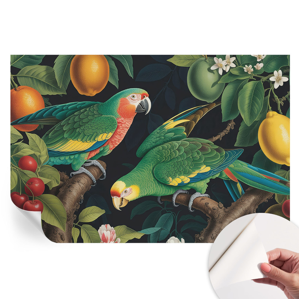 Papier peint photographique autocollant aventure tropicale