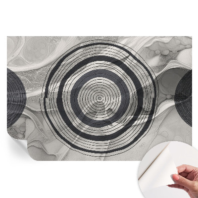 Fresque murale autocollante Cercles gris