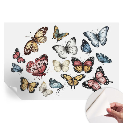 Papier peint photo moderne pour le salon Papillons paradis