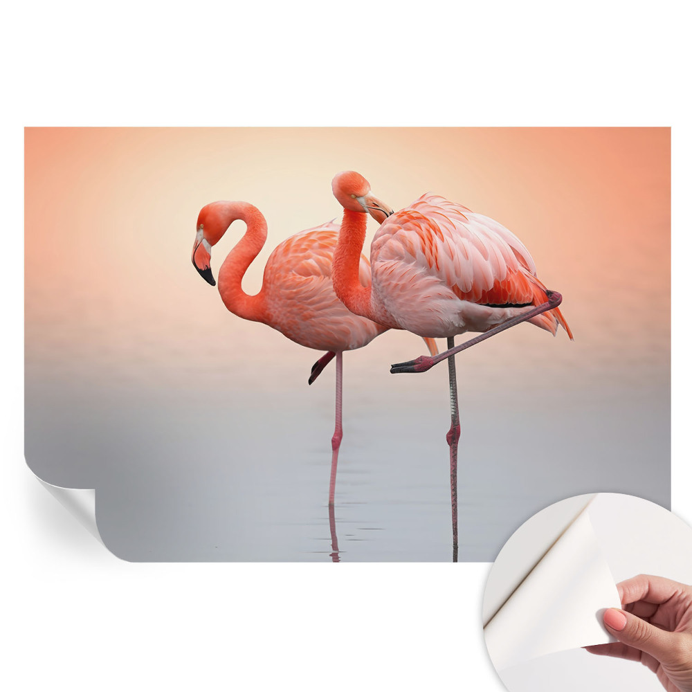Papier peint photo moderne pour le salon Flamants roses délicats