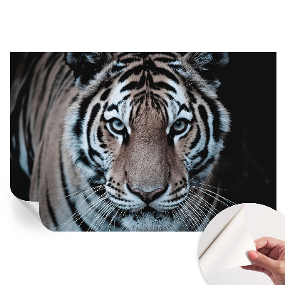 Papier peint photo moderne pour le salon Portrait du tigre