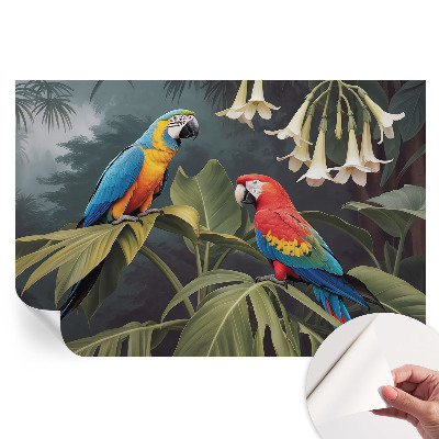 Papier peint autocollant pour le salon Perroquets colorés