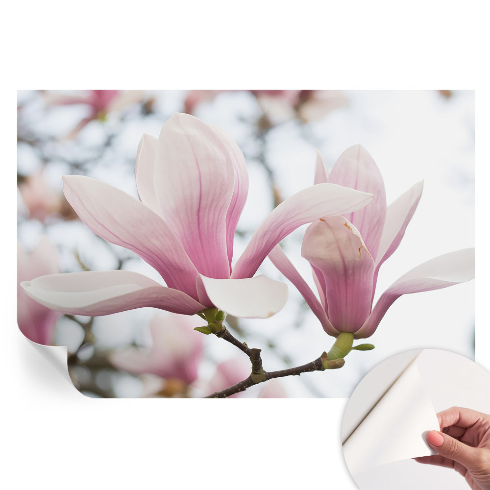 Papier peint photo autocollant fleurs de magnolia pour chambre