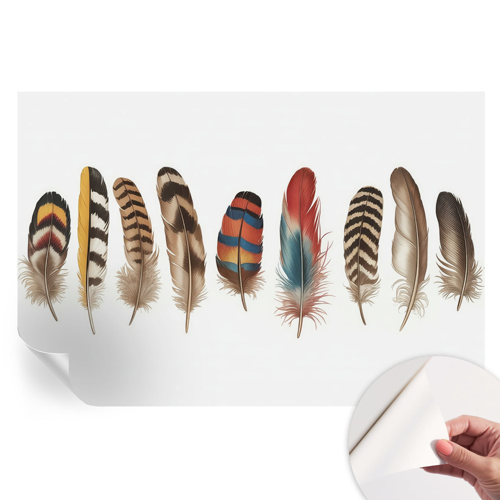 Papier peint photo autocollant pour la chambre plumes colorées