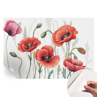 Papier peint autocollant pour le salon Coquelicots rouges