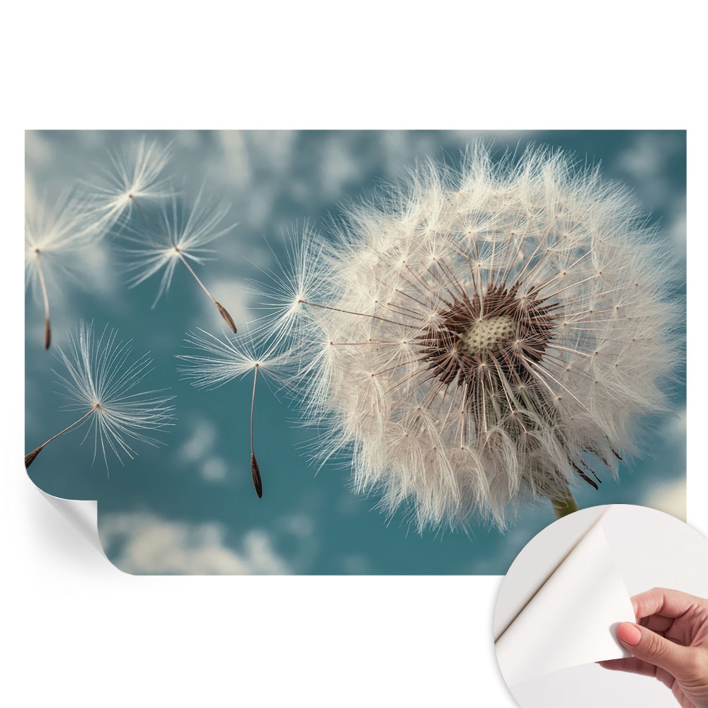 Papier peint photographique autocollant Une légère éthérée