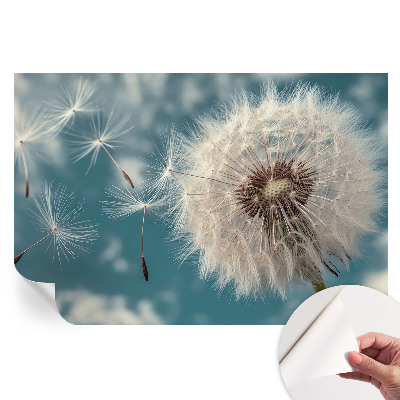 Papier peint photographique autocollant Une légère éthérée