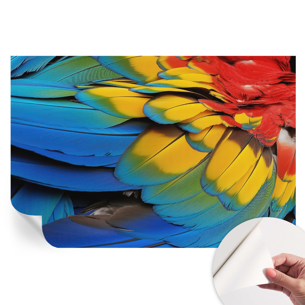 Papier peint photo moderne pour le salon Plumes arc-en-ciel
