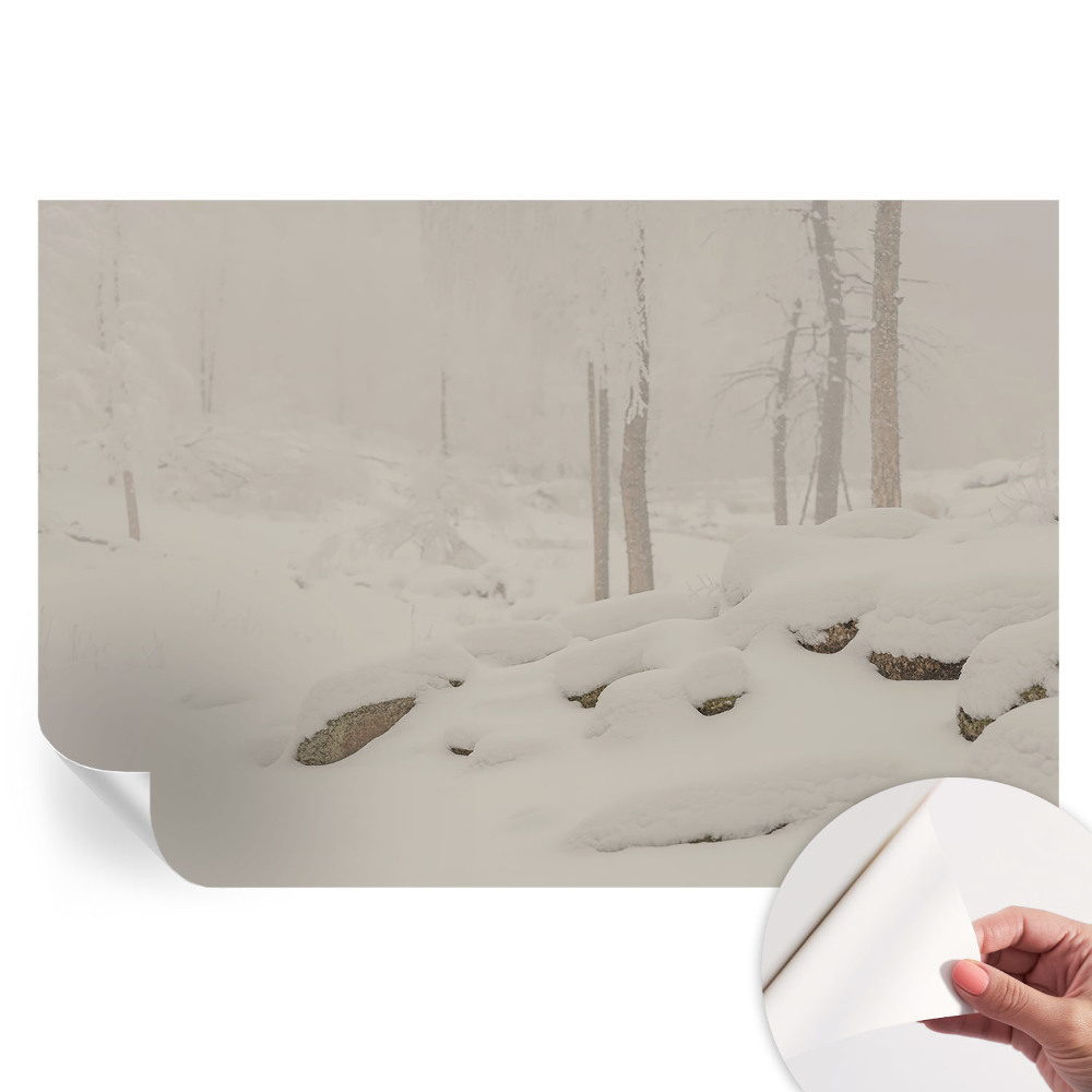 Papier peint autocollant Forêt enneigée pour salon