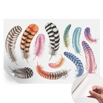 Papier peint photo moderne pour le salon plumes pastel