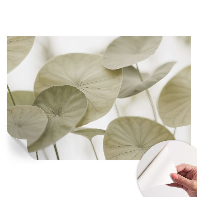 Papier peint photo autocollant pour la chambre Élégance naturelle