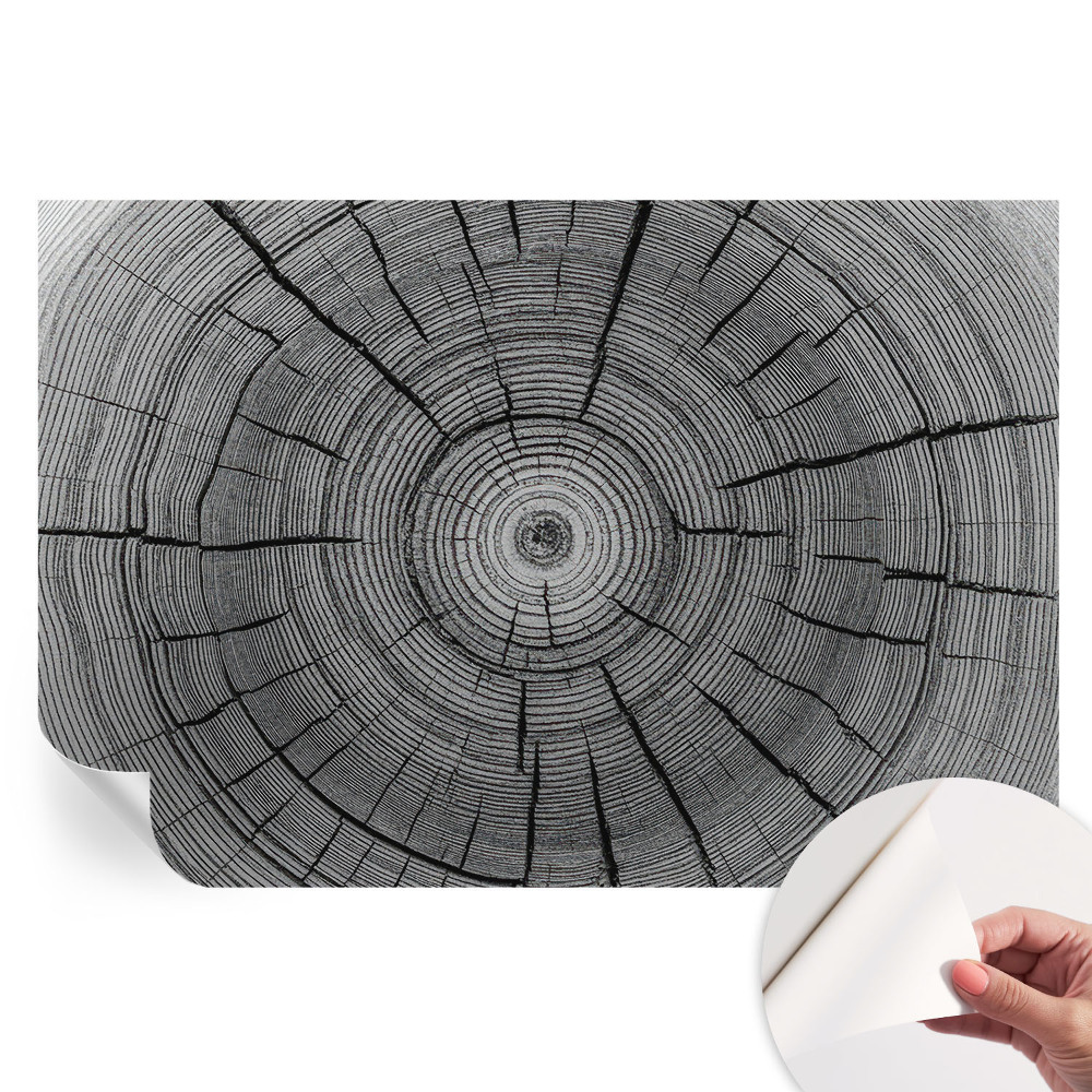Papier peint photographique autocollant Harmonie forestière