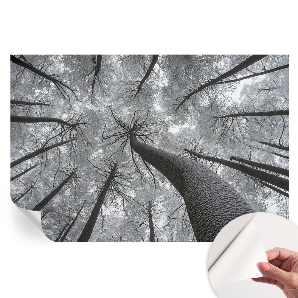 Papier peint autocollant paysage d'hiver pour salon