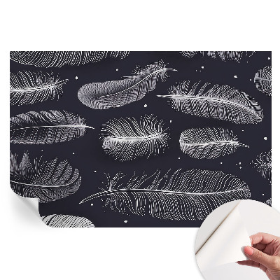 Papier peint photo moderne pour le salon Plumes subtiles