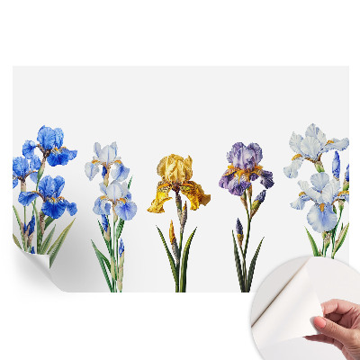 Papier peint photographique autocollant fleurs d'iris
