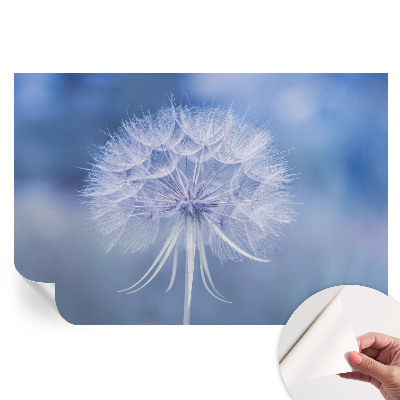 Papier peint photographique autocollant Délice bleu