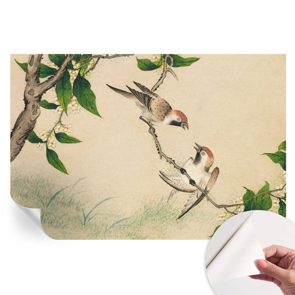 Papier peint photographique autocollant Duo classique